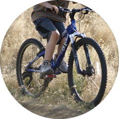 マウンテンバイク