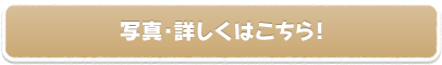 写真・詳しくはこちら！