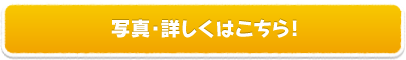 写真・詳しくはこちら！