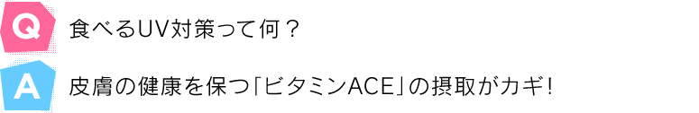 食べるＵＶ対策って何？