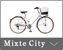 Mixte City（ミキストシティ）