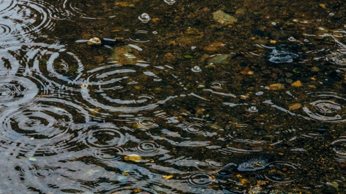 雨の波紋